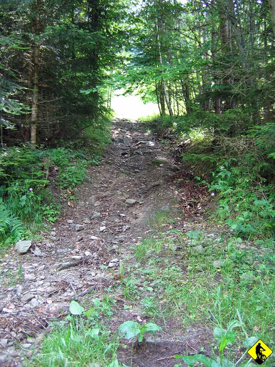 Karta1_ 110.jpg - Tyraniem pod góre po kamieniach. Skąd ja to znam... no tak z Beskidów...